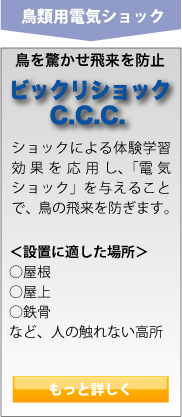ビックリショックC.C.C.