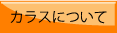 カラスについて