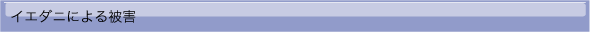 イエダニ被害