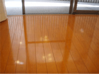 リベロ・コート室内