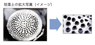 珪藻土拡大写真